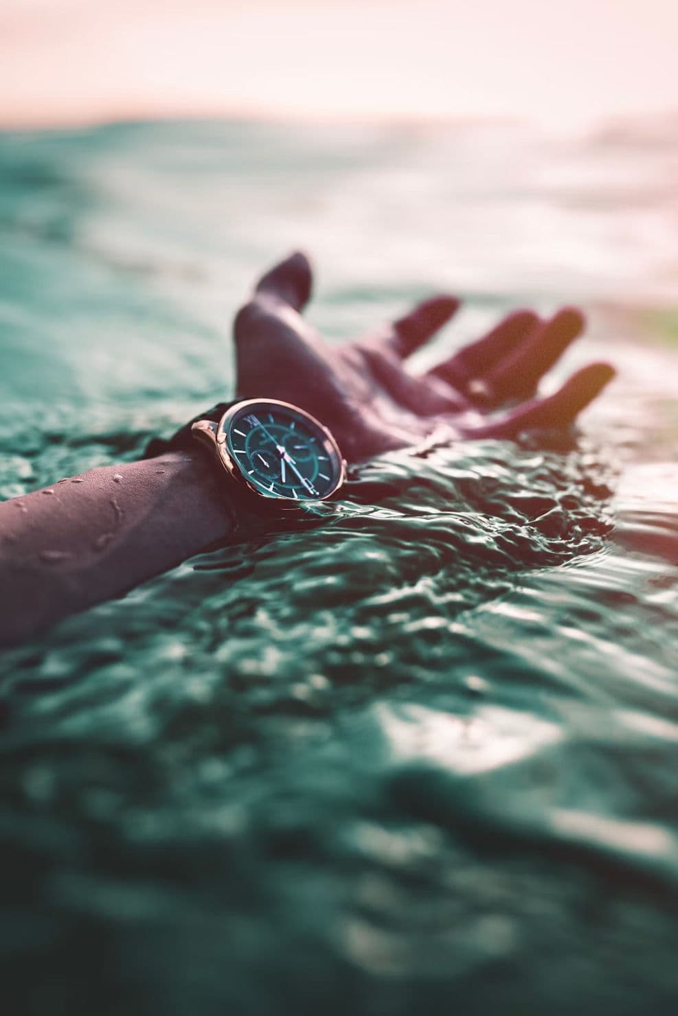 Top Watch Brands by Category (Diving, Dress, Racing, and Aviation)