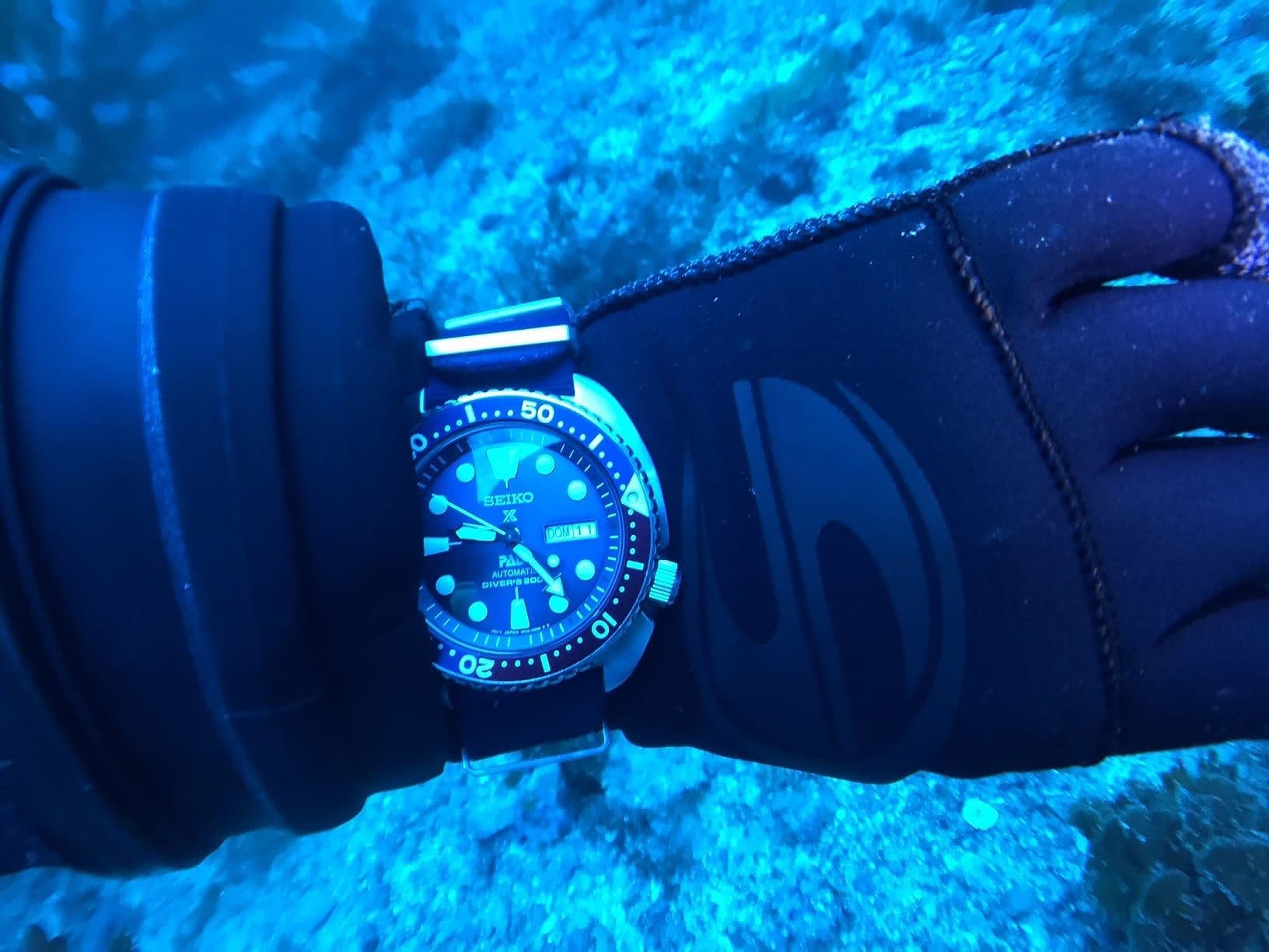 Best Dive Watches by Budget (From $200 to $10,000+)